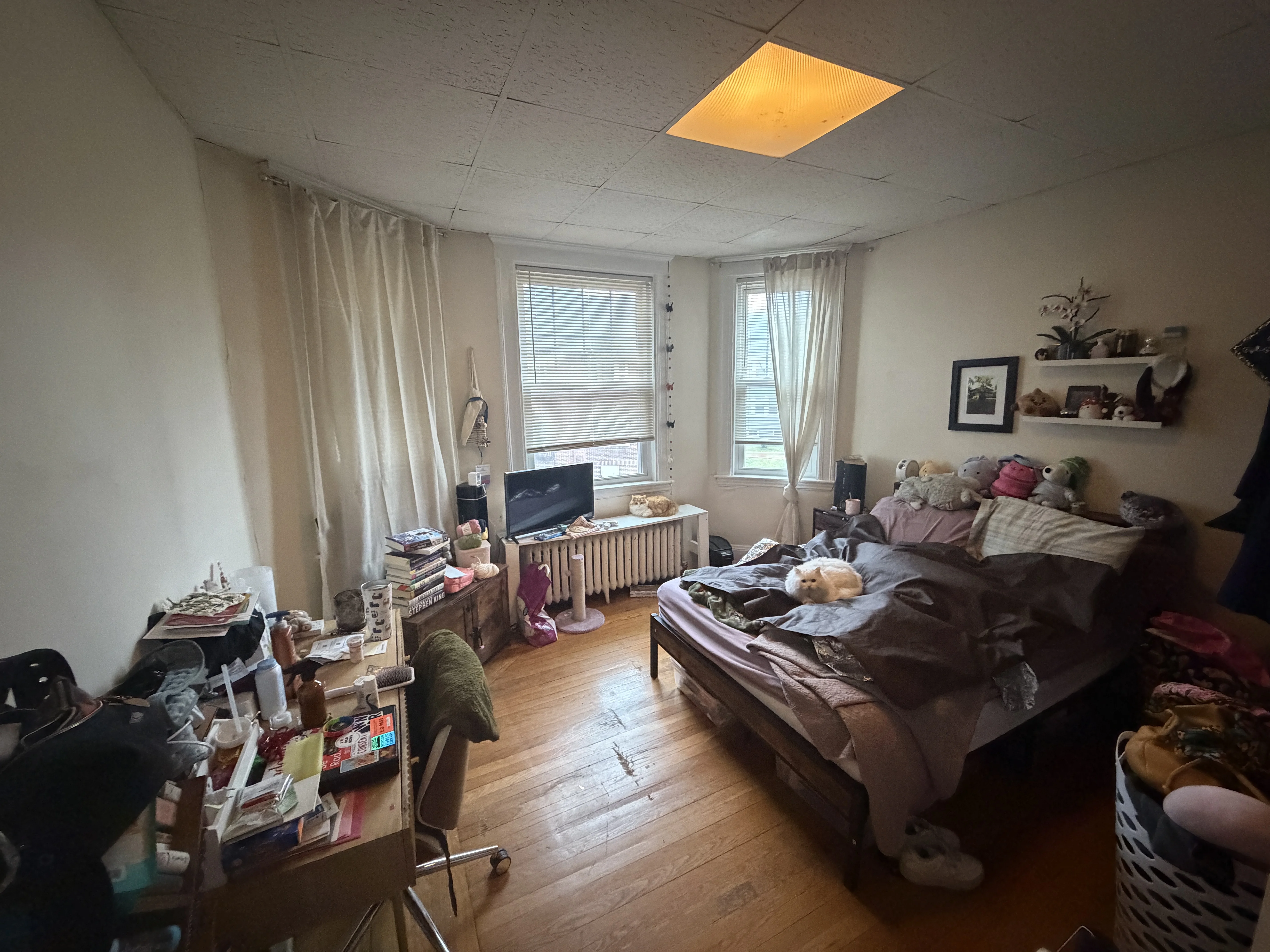 2 bed, 1 bath apartment for rent at 75 Nottinghill Rd Unit 8, Brighton — photo 8 of 12