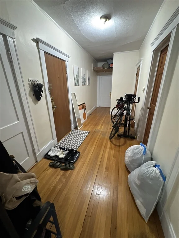 2 bed, 1 bath apartment for rent at 75 Nottinghill Unit 1, Brighton — photo 7 of 9