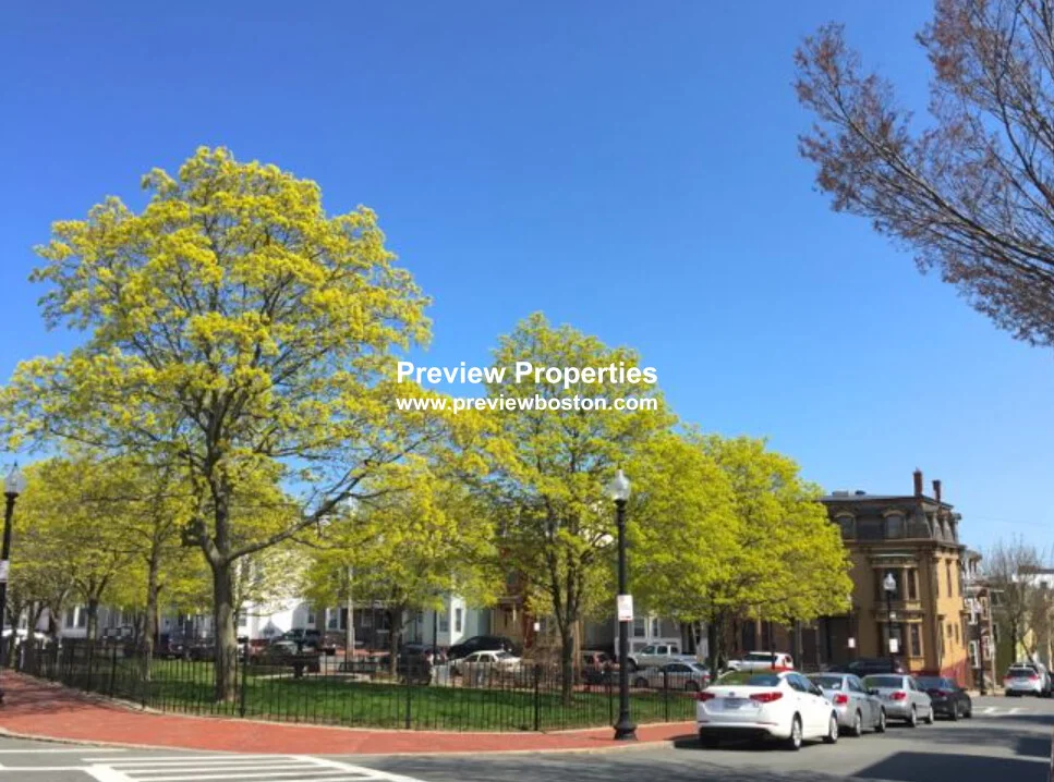 2 bed, 1 bath apartment for rent at 75 Putnam St Unit 1P, East Boston — photo 14 of 16