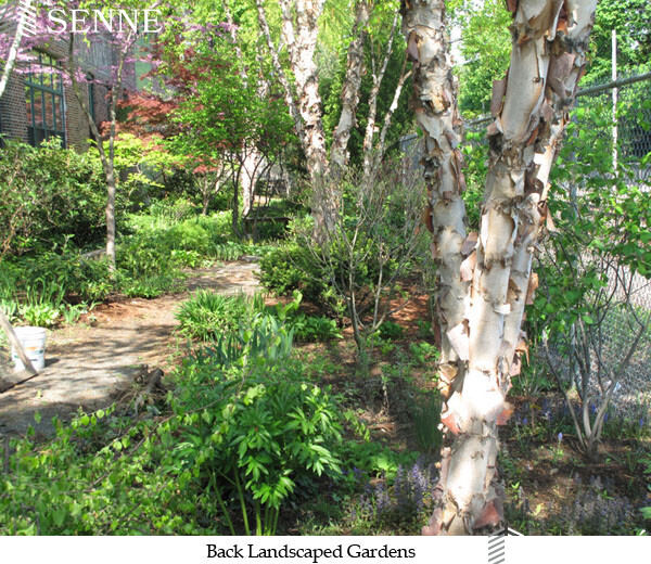 2 bed, 2 bath apartment for rent at 75 Richdale Ave Unit 4, Neighborhood Nine — photo 17 of 19