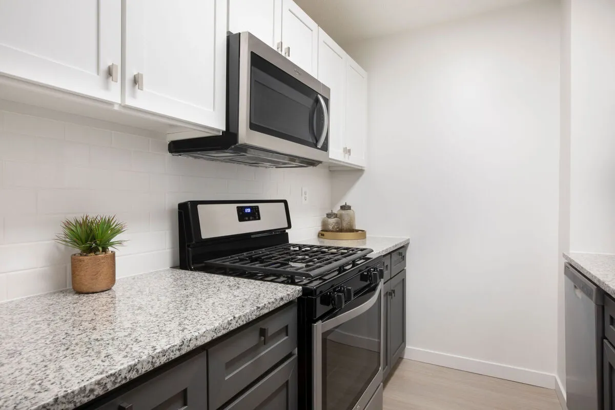 2 bed, 1.5 bath apartment for rent at 75 Saint Alphonsus St Unit 102, Mission Hill — photo 4 of 51