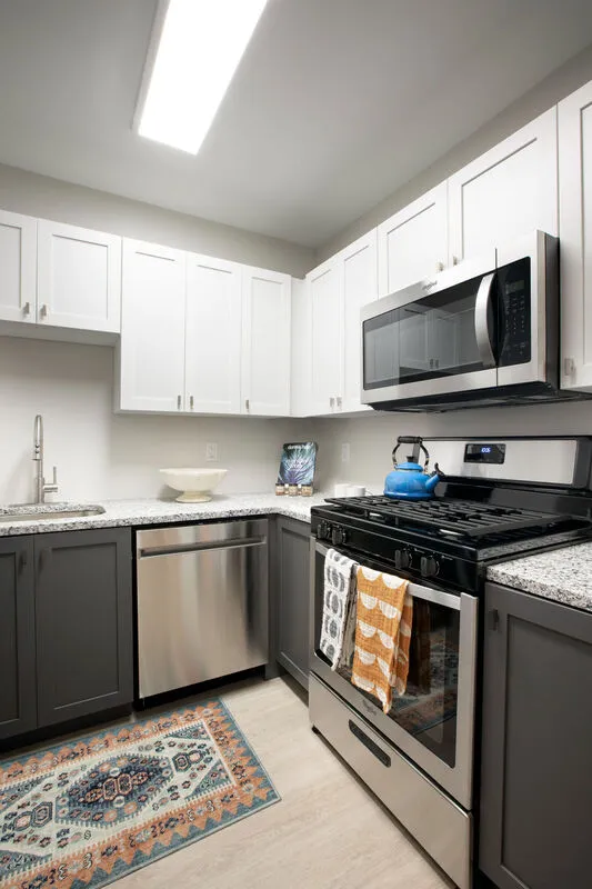 3 bed, 2 bath apartment for rent at 75 Saint Alphonsus St Unit 211, Mission Hill — photo 2 of 35