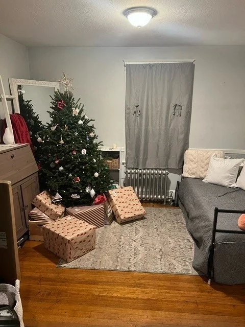1 bed, 1 bath apartment for rent at 75 Sterling St Unit B, Braintree — photo 4 of 16
