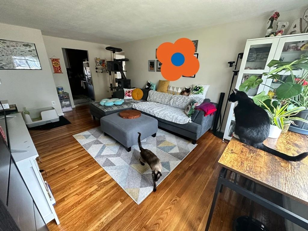 2 bed, 1 bath apartment for rent at 75 Thingvalla Ave Unit 75, Belmont — photo 1 of 10