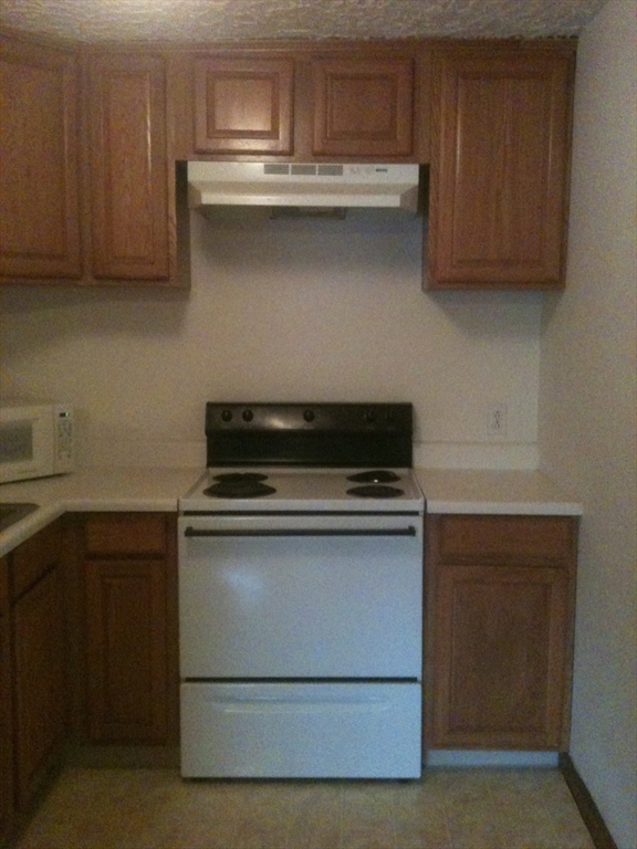 1 bed, 1 bath apartment for rent at 75 Winthrop St Unit 22, Everett — photo 2 of 10
