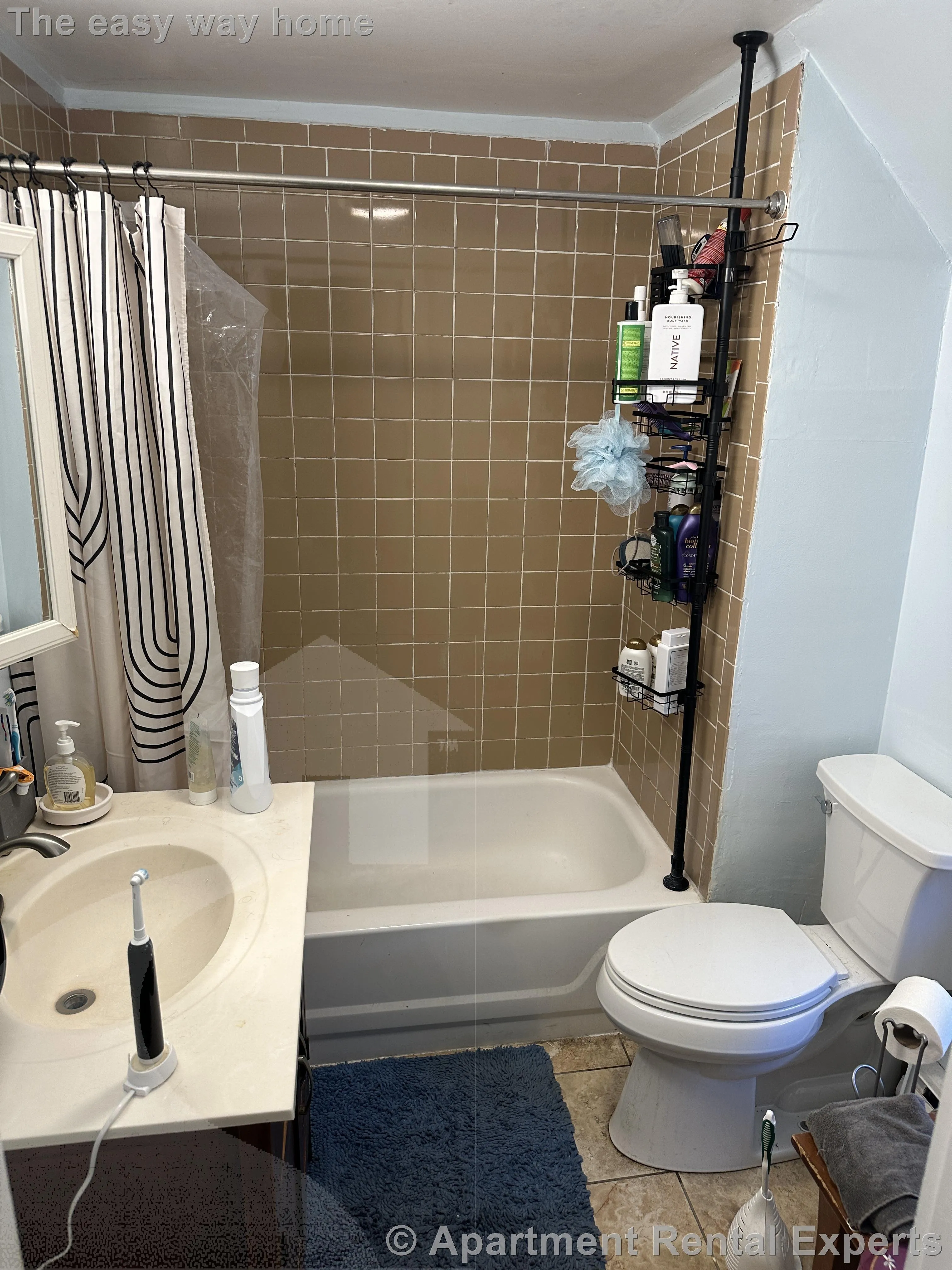 3 bed, 1 bath apartment for rent at 76 College Ave Unit REAR, Davis Square — photo 7 of 10