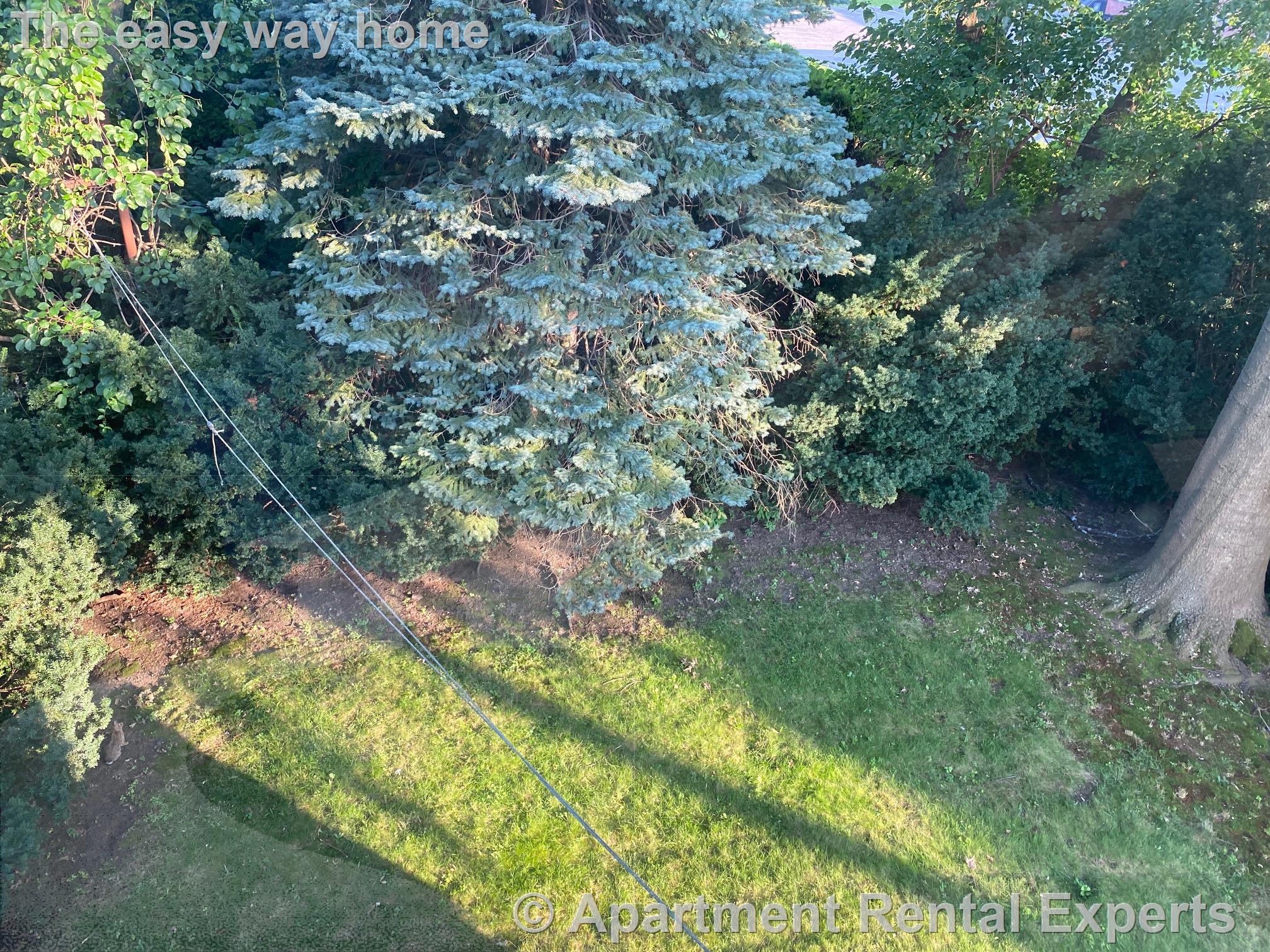 2 bed, 1 bath apartment for rent at 76 Endicott Ave Unit 2, Teele Square — photo 12 of 17