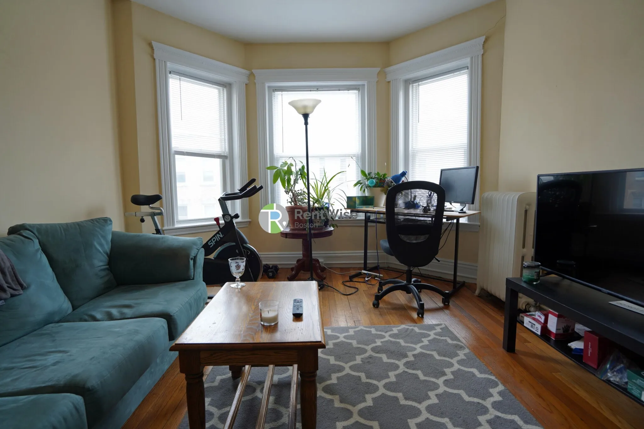 1 bed, 1 bath apartment for rent at 76 Gordon St Unit 16, Brighton — photo 2 of 21