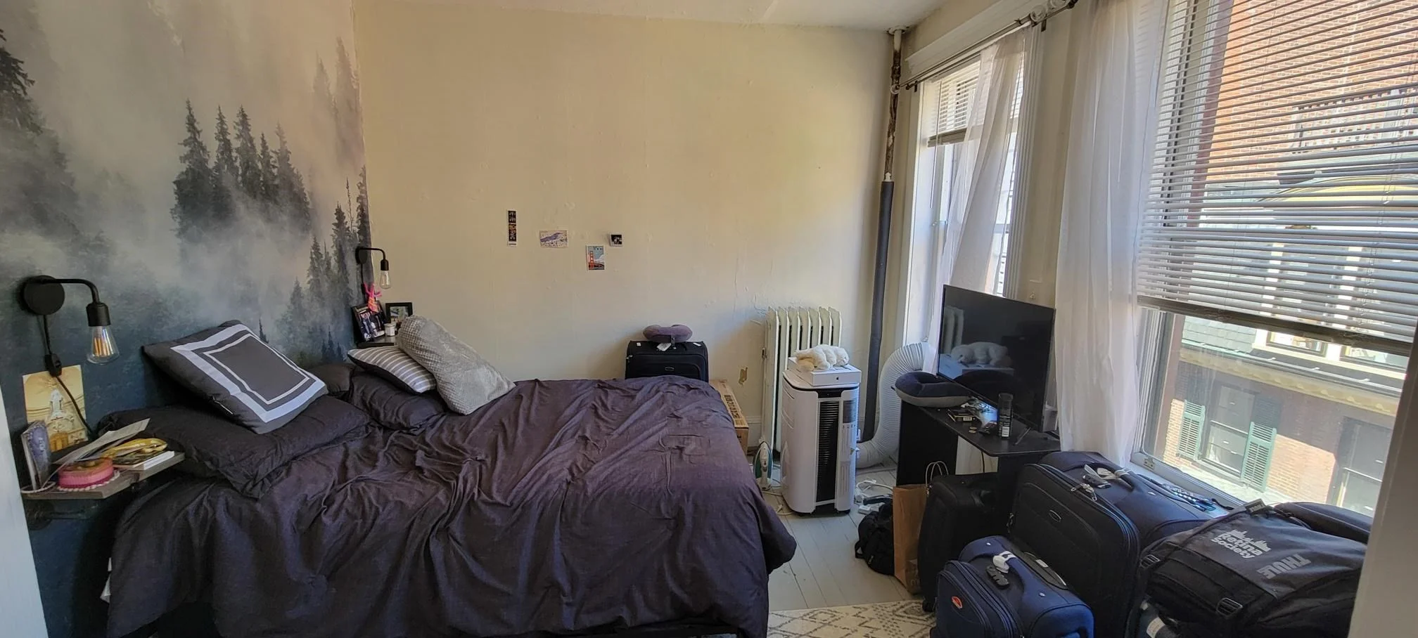 1 bed, 1 bath apartment for rent at 76 Myrtle St Unit 7, Beacon Hill — photo 5 of 11