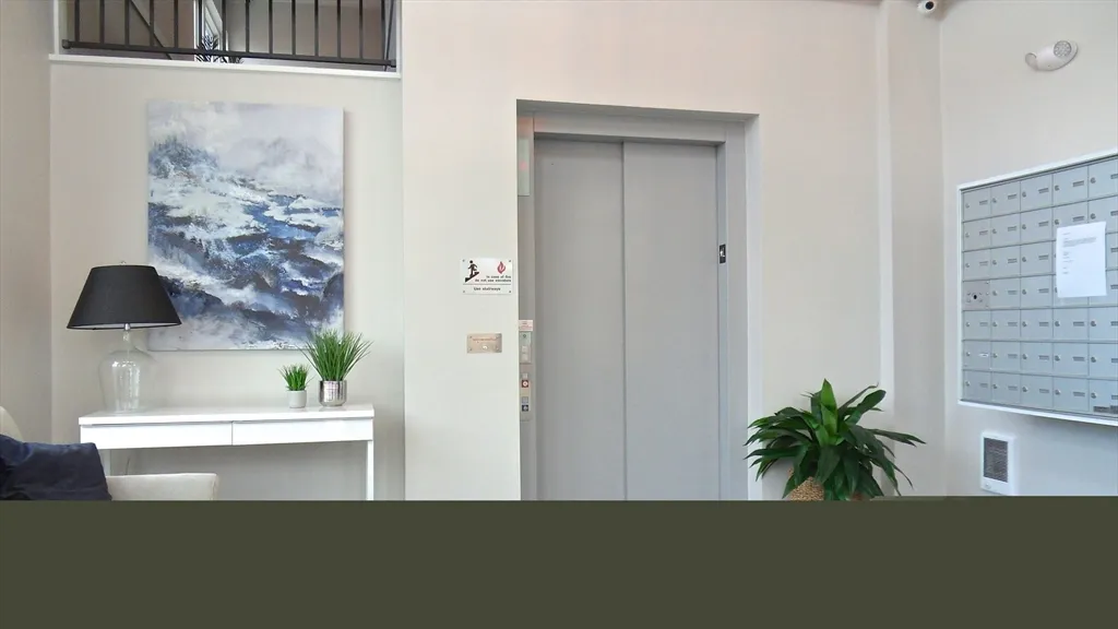 1 bed, 1 bath apartment for rent at 76 Stonley Rd Unit 24, Jamaica Plain — photo 5 of 14