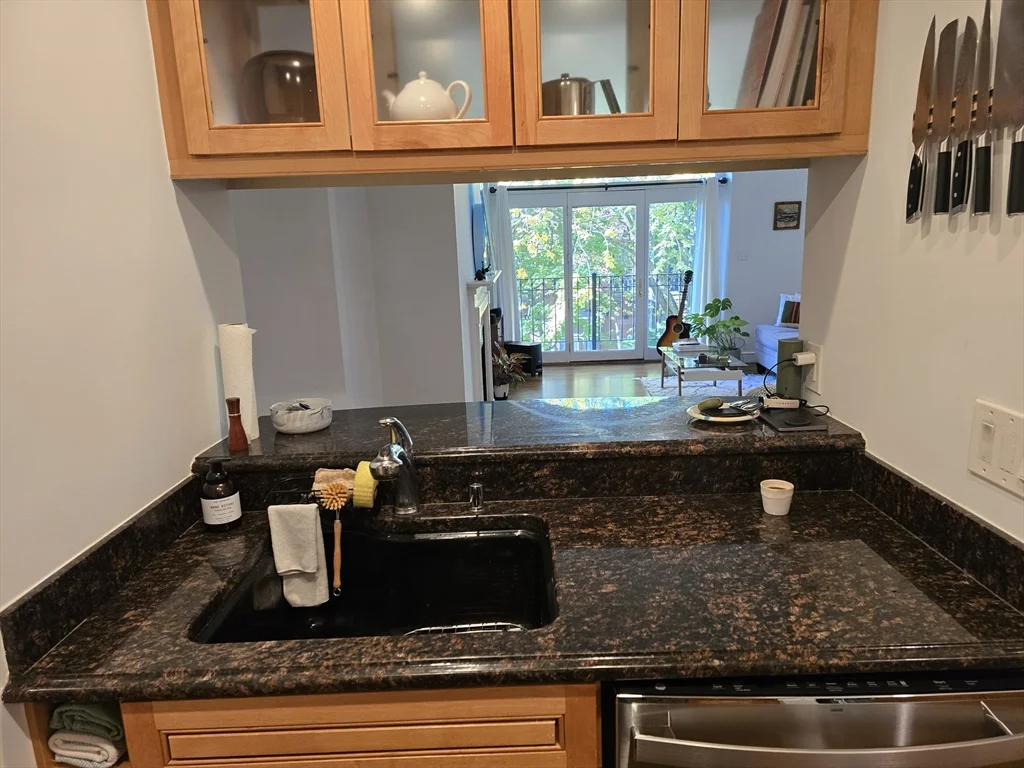 2 bed, 2 bath apartment for rent at 76 W Rutland Sq Unit 304, South End — photo 6 of 19