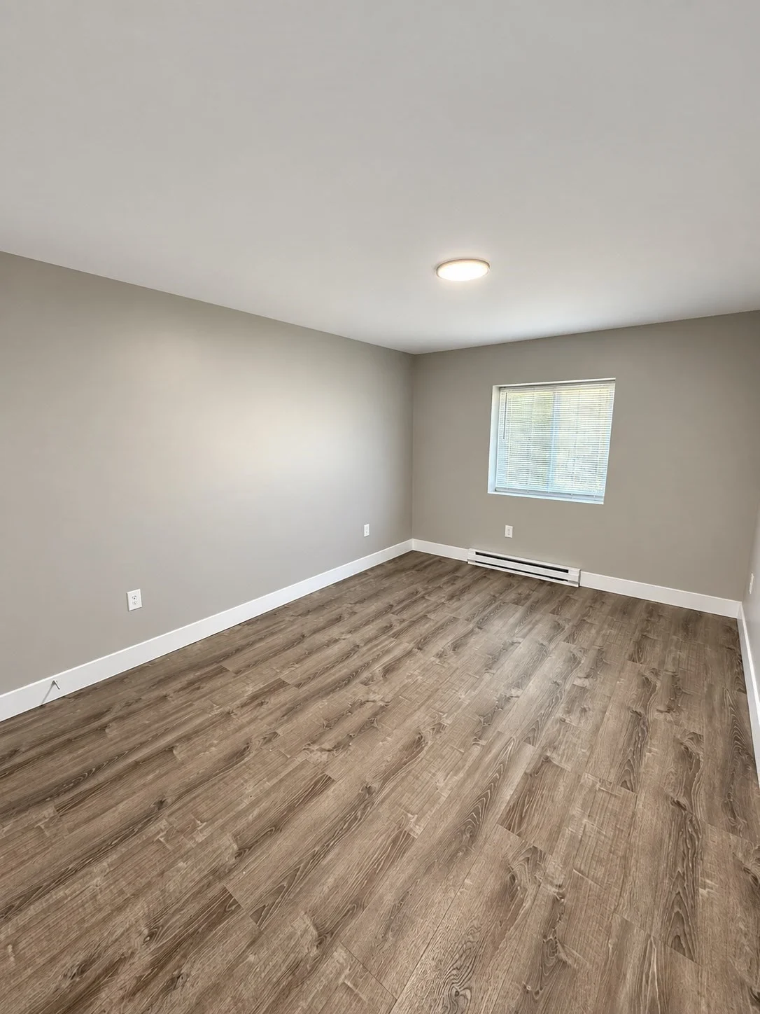 1 bed, 1 bath apartment for rent at 760 Cummins Highway Unit 16, Mattapan — photo 6 of 8