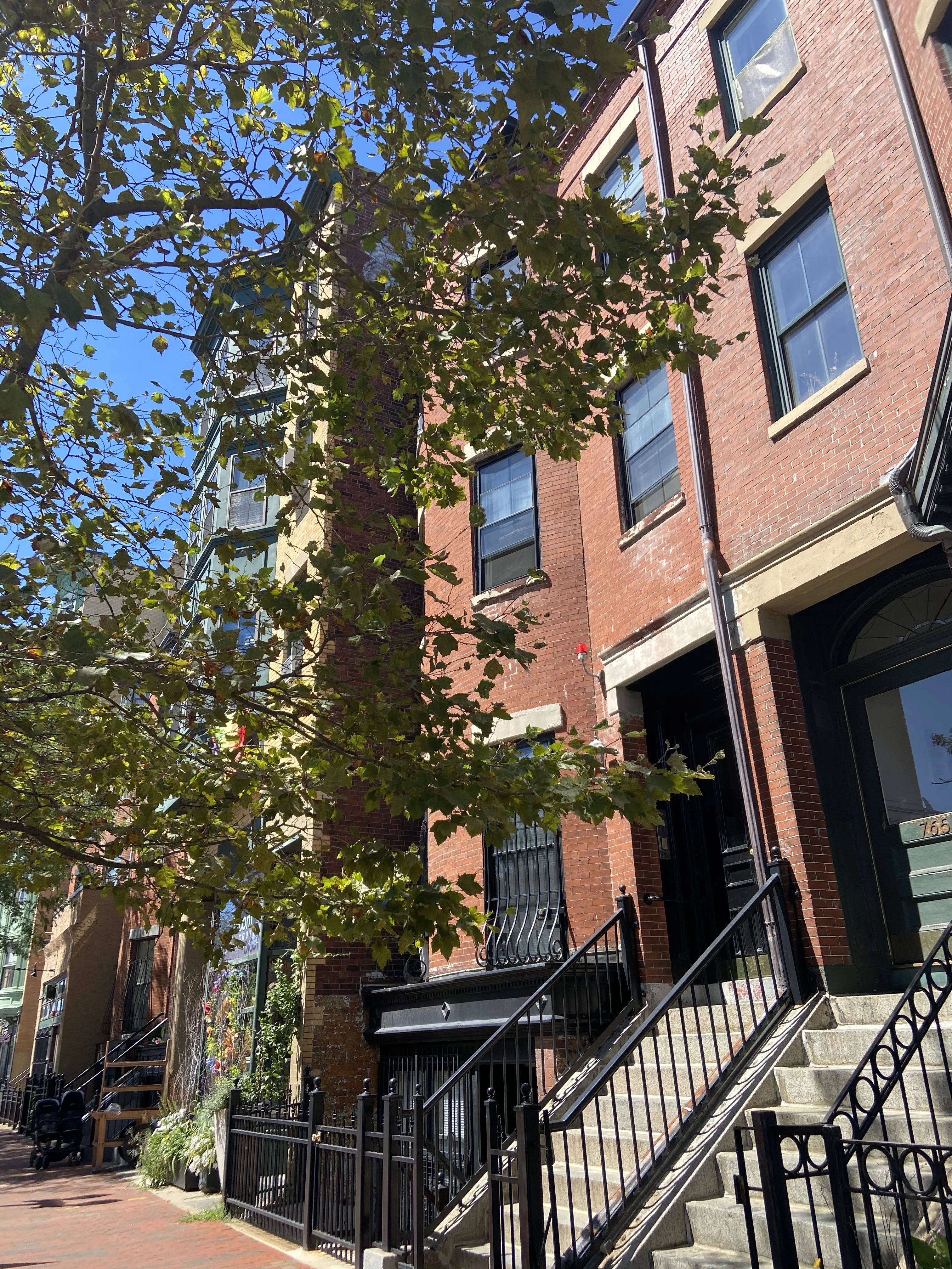 Studio bed, 1 bath apartment for rent at 762 Tremont St Unit 12, Shawmut — photo 4 of 4