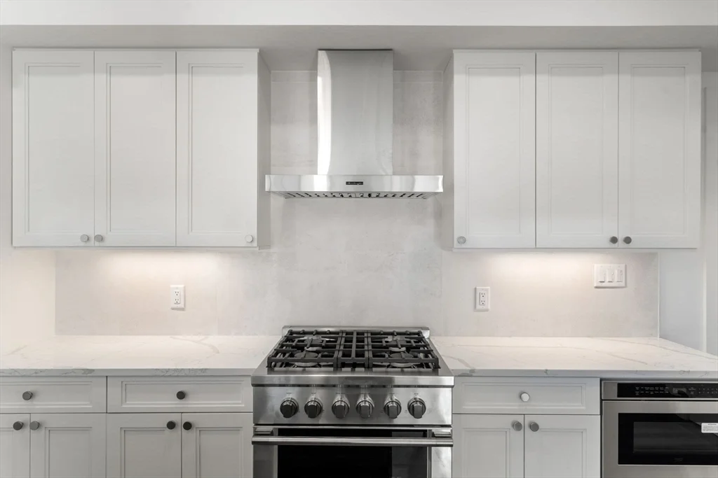 2 bed, 2 bath apartment for rent at 765 East 3rd St Unit 303, South Boston — photo 3 of 31