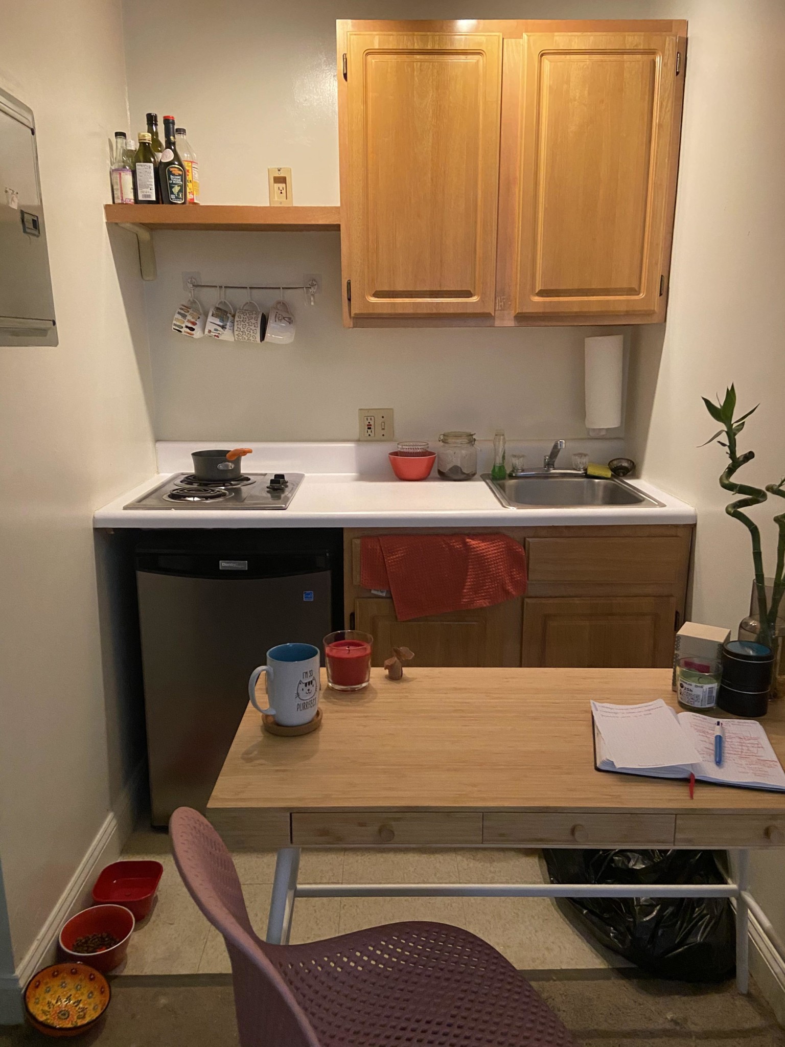 Studio bed, 1 bath apartment for rent at 767 Tremont St Unit 2, South End — photo 3 of 10
