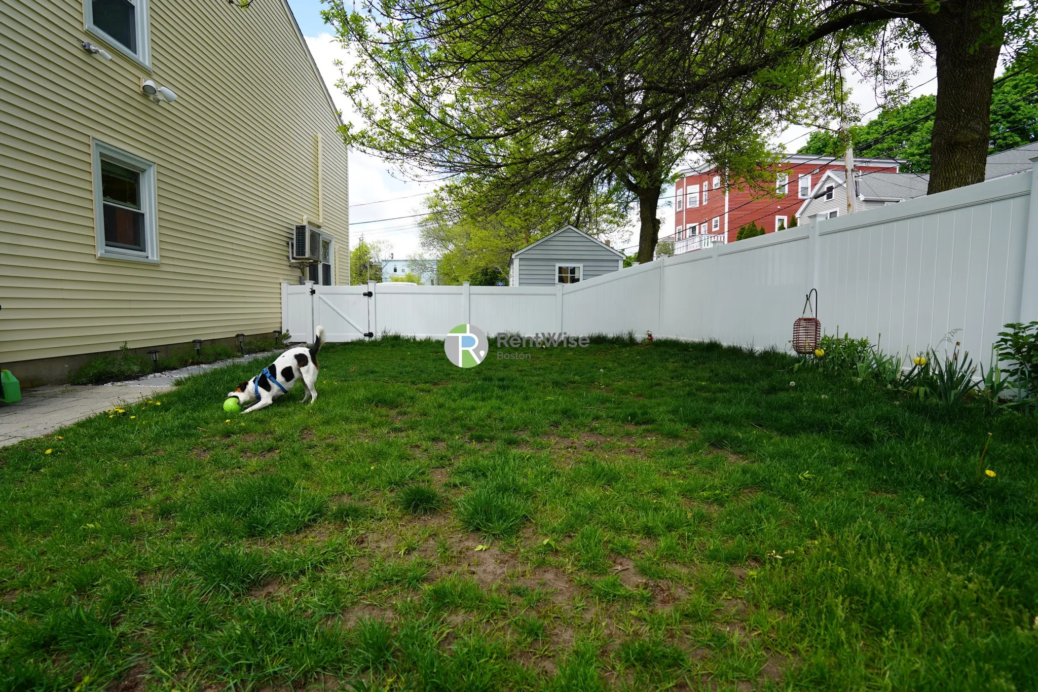 2 bed, 1.5 bath apartment for rent at 77 Knowlton St Unit 1, East Somerville — photo 24 of 27