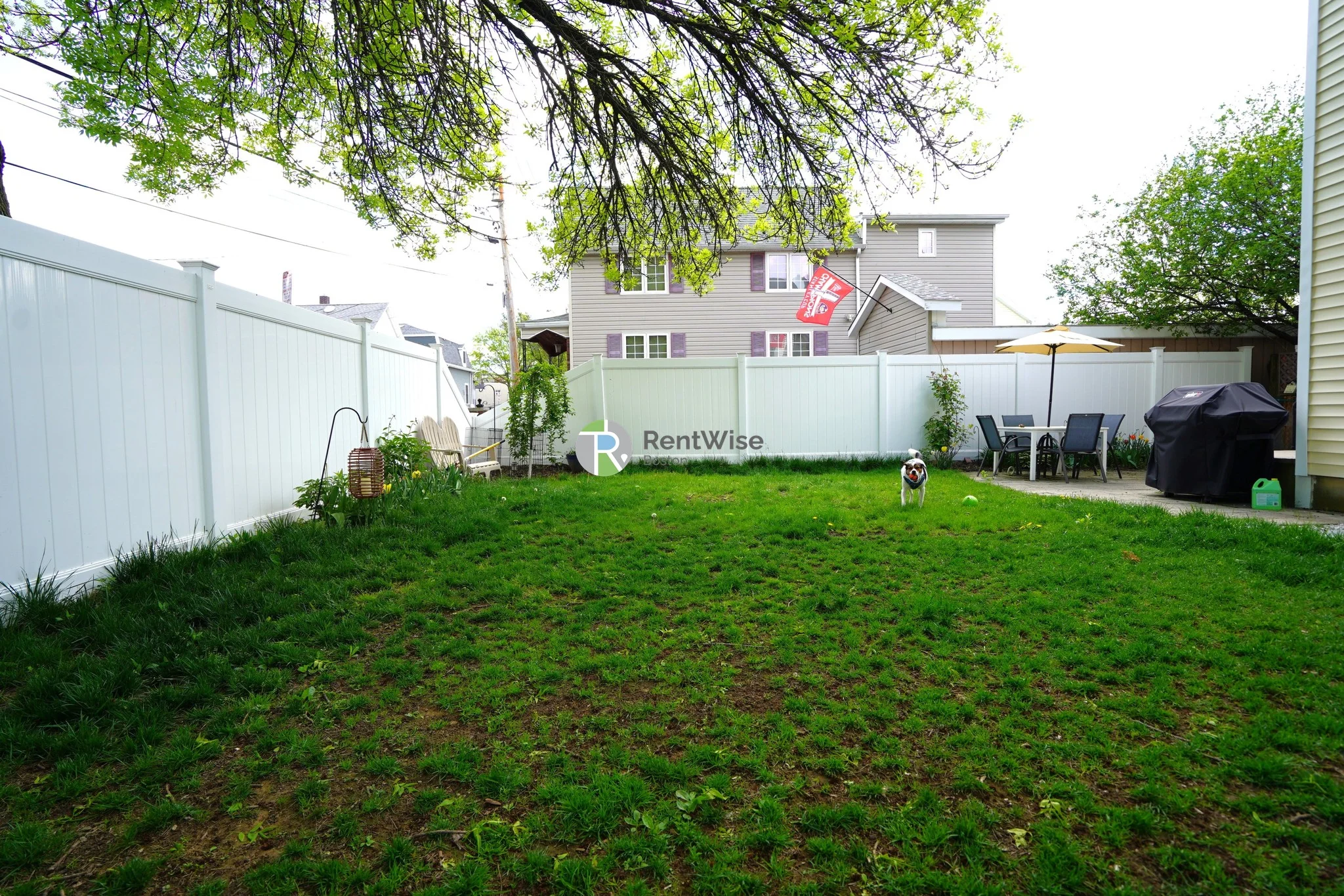 2 bed, 1.5 bath apartment for rent at 77 Knowlton St Unit 1, East Somerville — photo 25 of 27