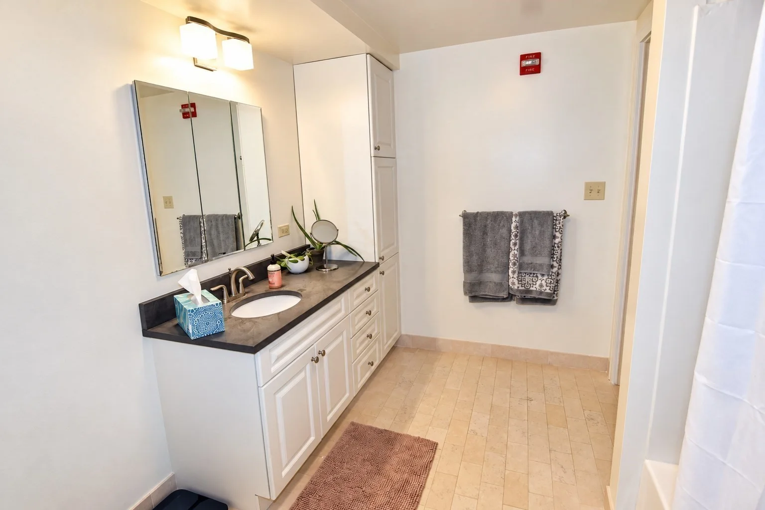 2 bed, 2 bath apartment for rent at 77 Marion St Unit 106, Coolidge Corner — photo 7 of 10