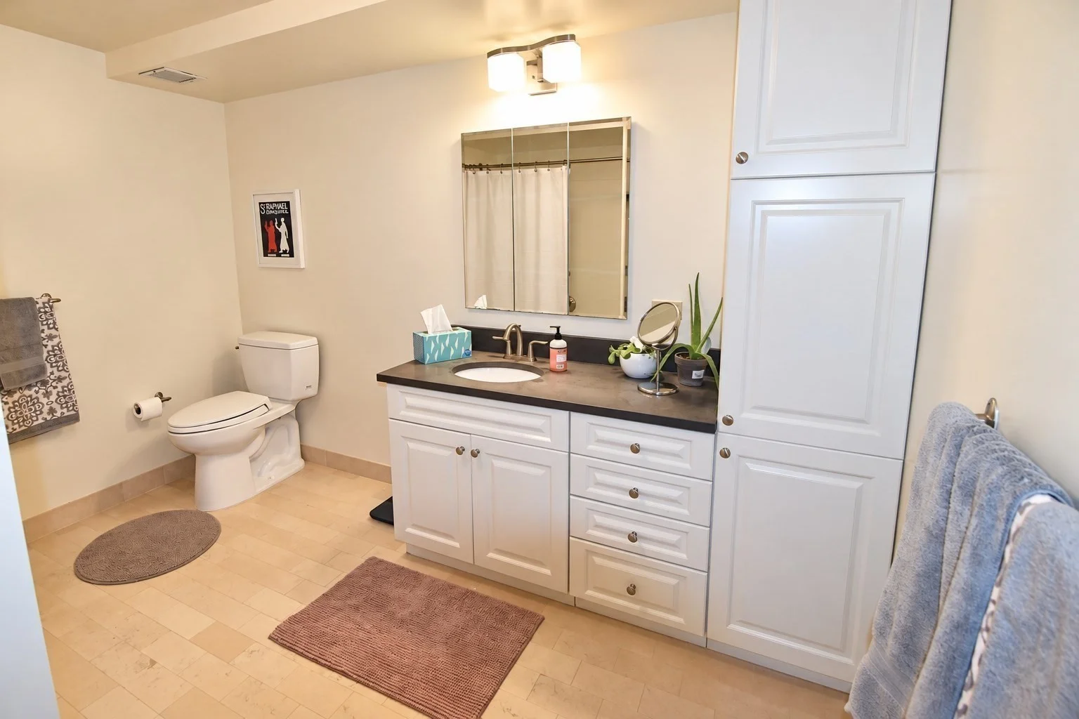 2 bed, 2 bath apartment for rent at 77 Marion St Unit 106, Coolidge Corner — photo 6 of 10