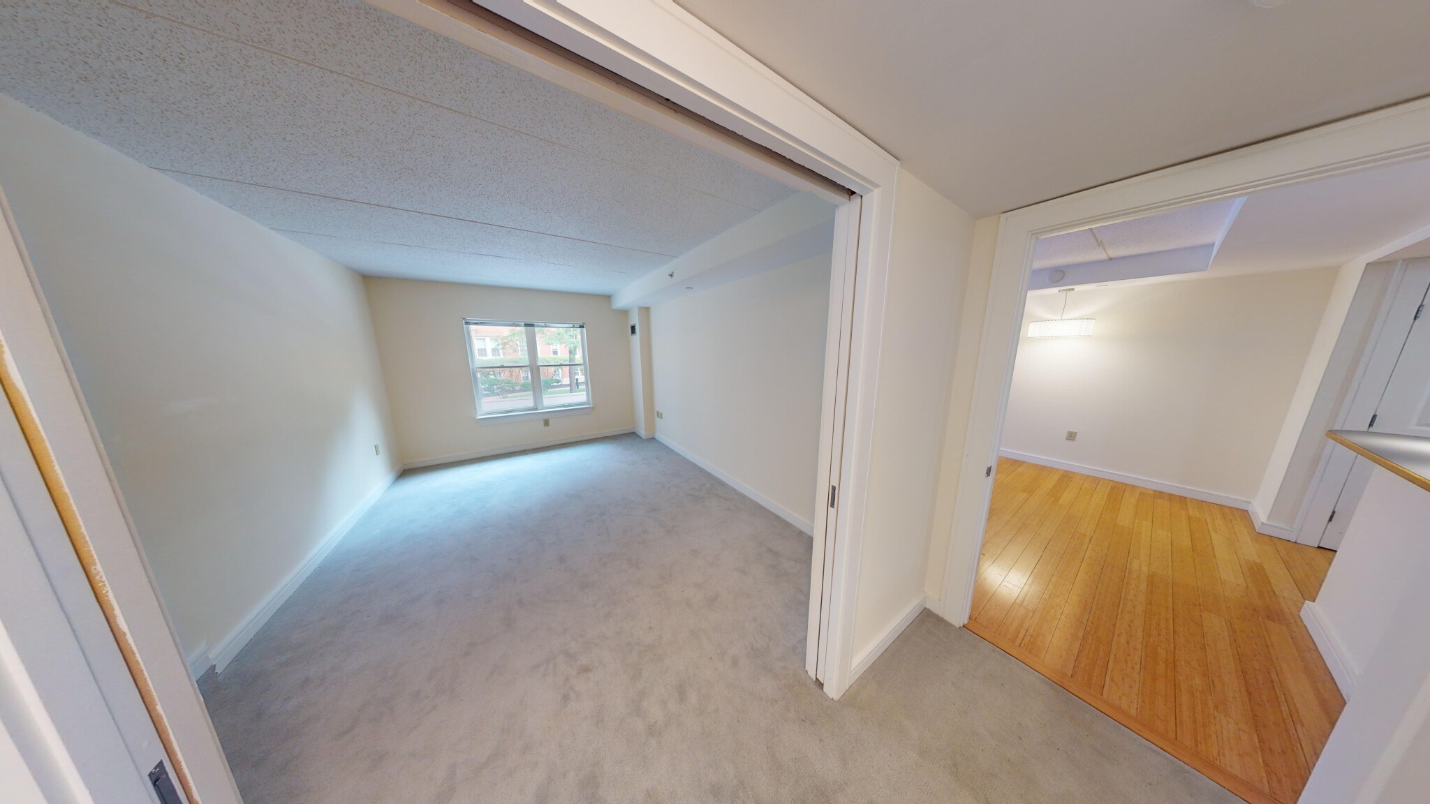 1 bed, 1 bath apartment for rent at 77 Marion St Unit 108, Coolidge Corner — photo 5 of 13