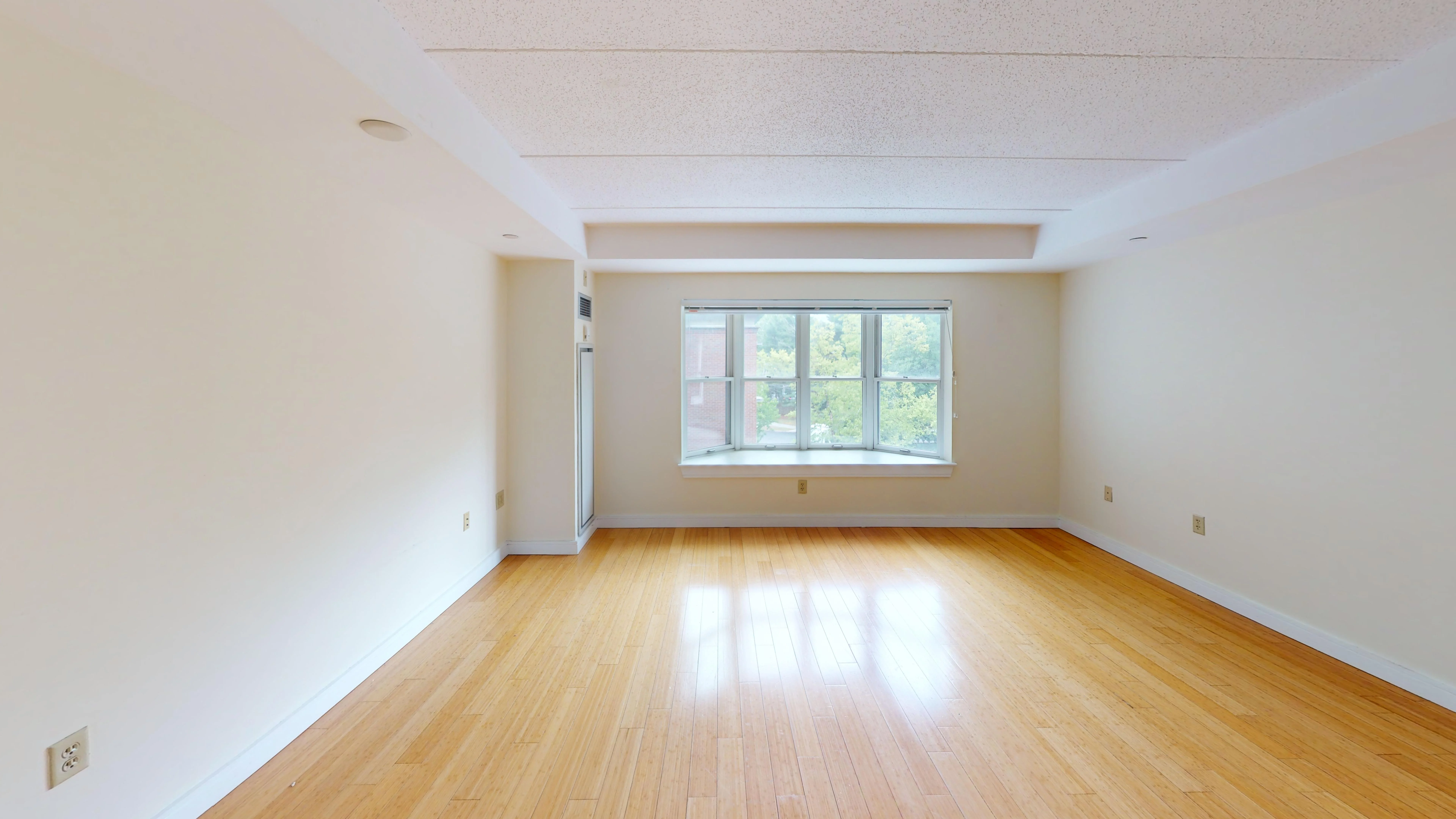 2 bed, 1.5 bath apartment for rent at 77 Marion St Unit 301, Coolidge Corner — photo 11 of 13
