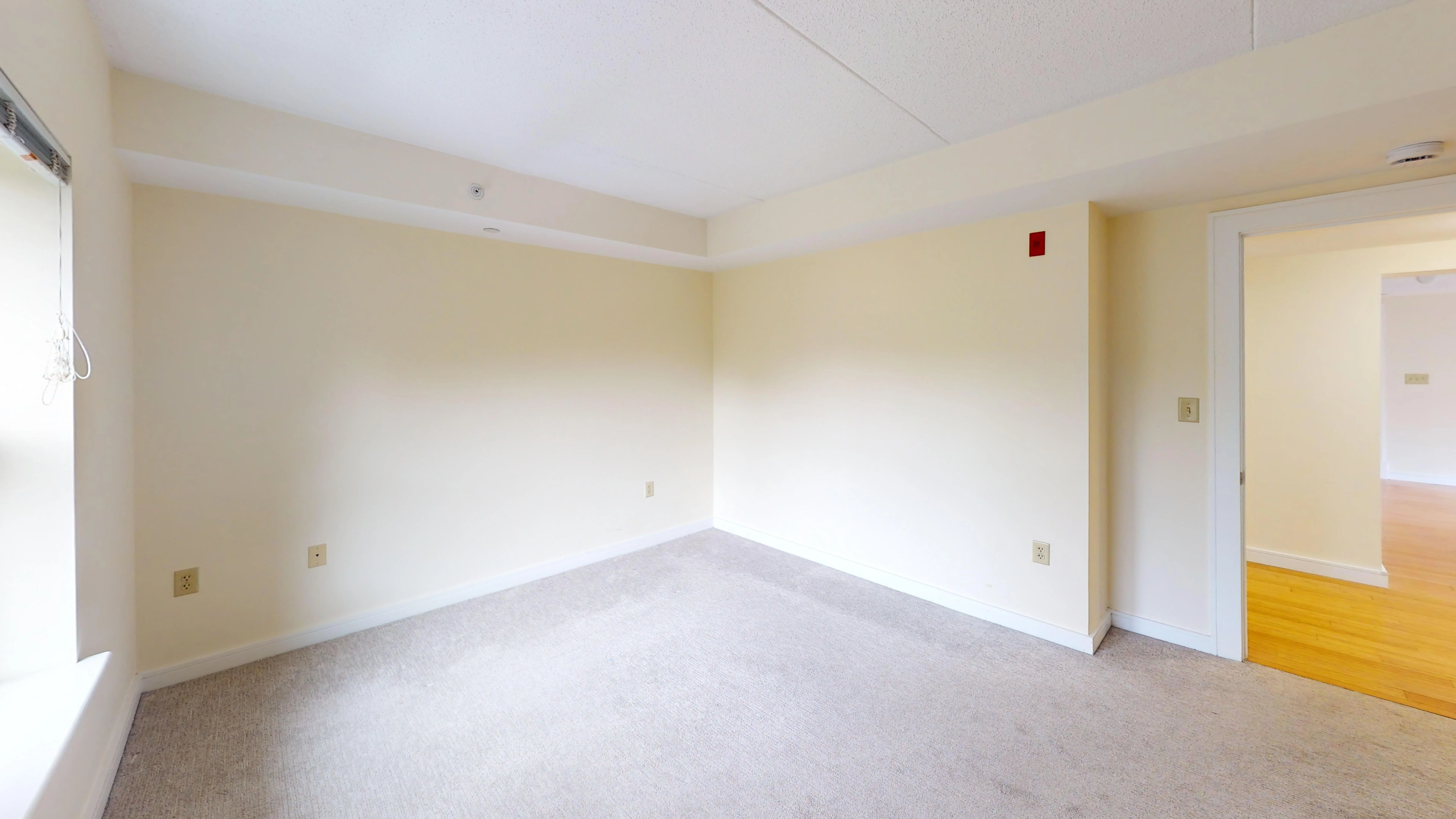 2 bed, 1.5 bath apartment for rent at 77 Marion St Unit 301, Coolidge Corner — photo 4 of 13