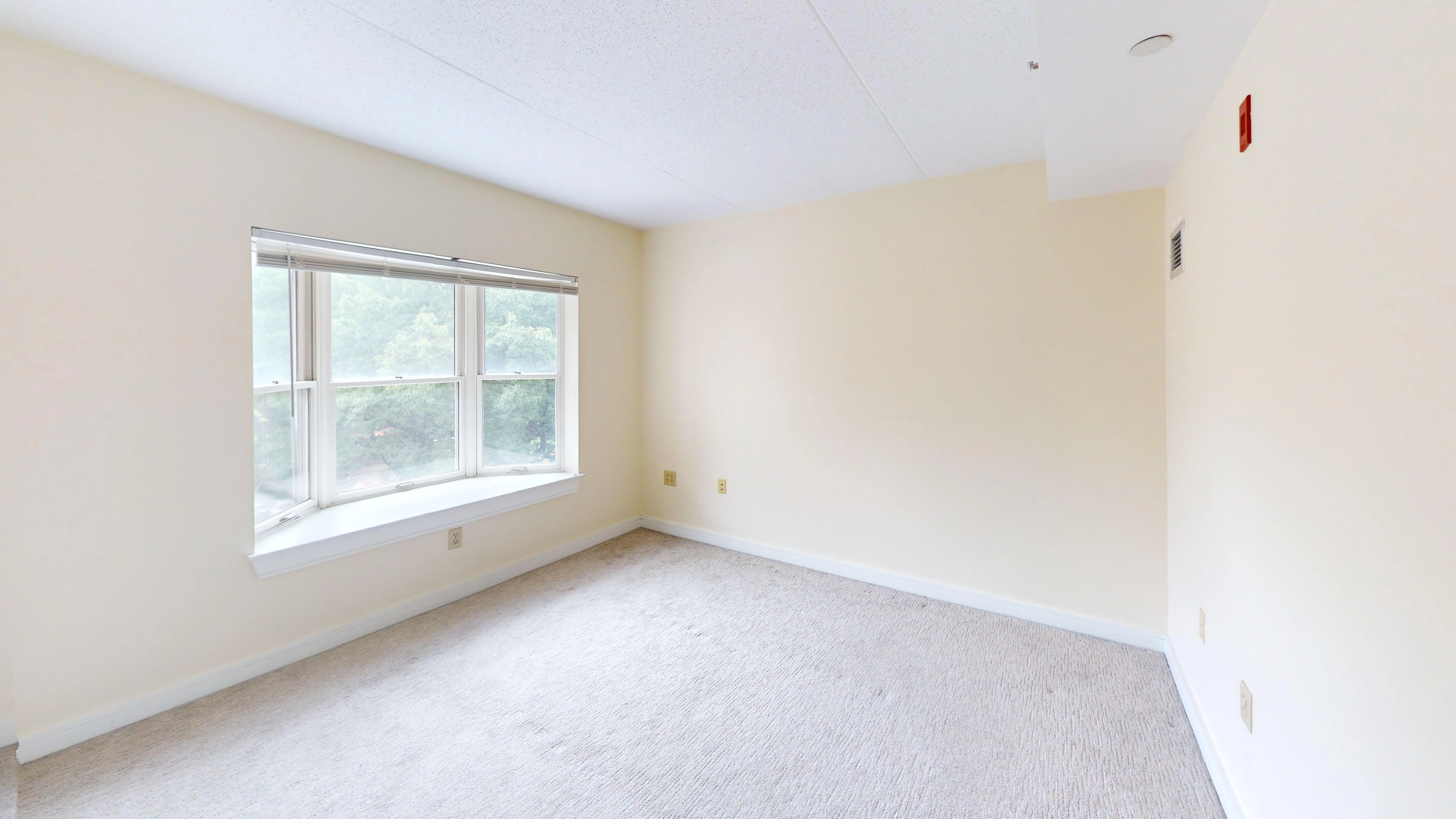 2 bed, 1.5 bath apartment for rent at 77 Marion St Unit 301, Coolidge Corner — photo 6 of 13