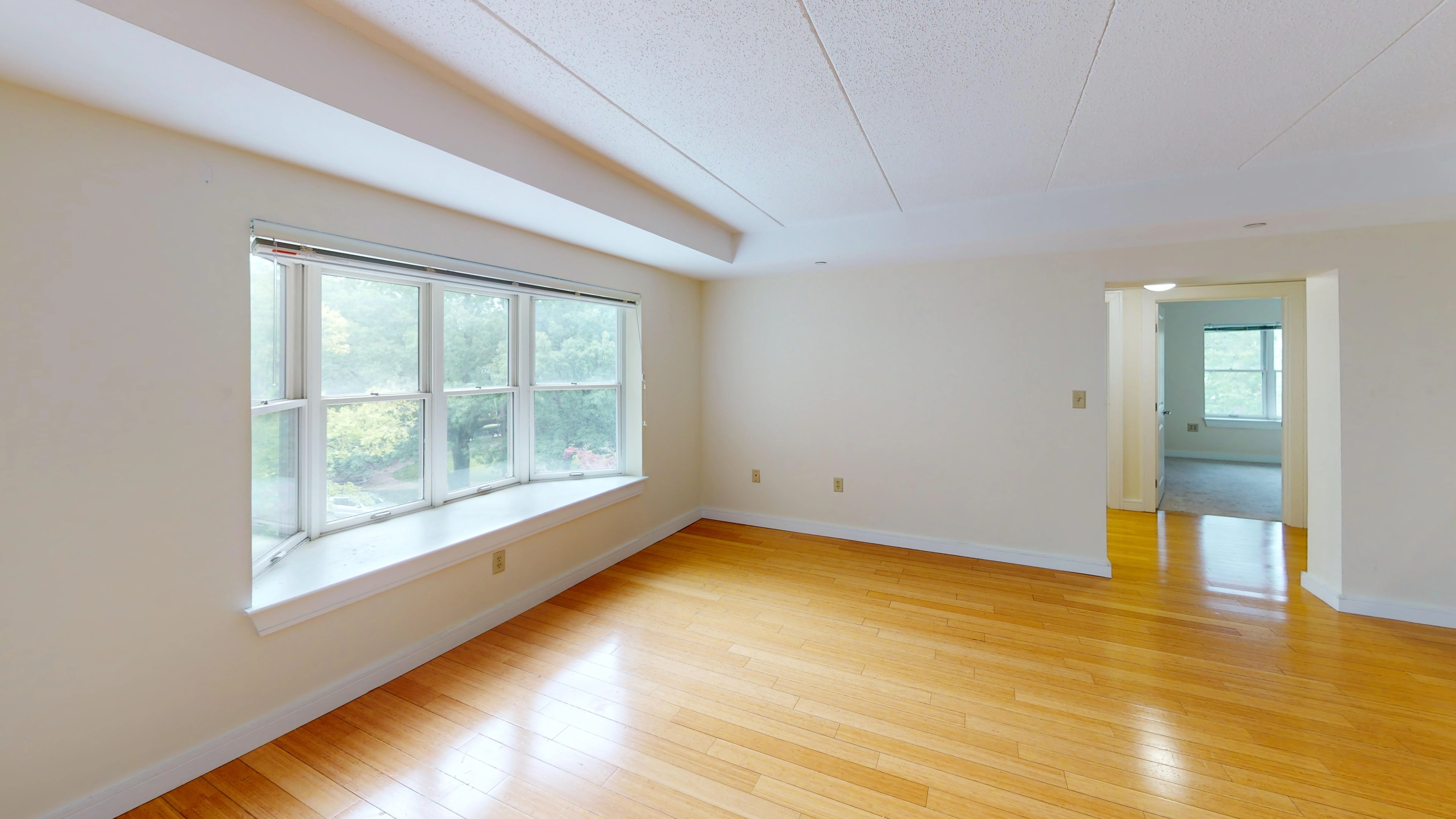 2 bed, 1.5 bath apartment for rent at 77 Marion St Unit 301, Coolidge Corner — photo 9 of 13