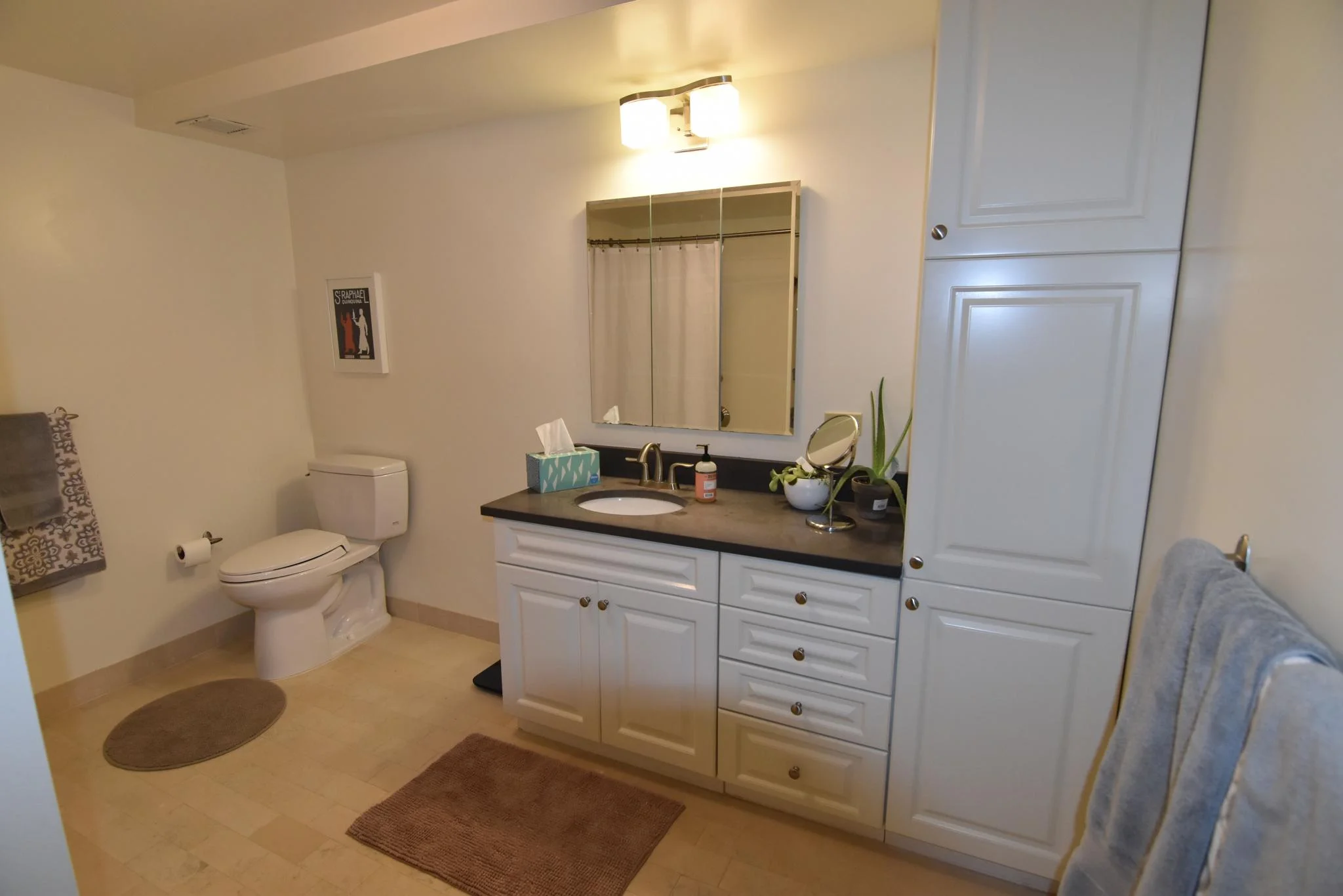 2 bed, 2 bath apartment for rent at 77 Marion St Unit 306, Coolidge Corner — photo 2 of 16