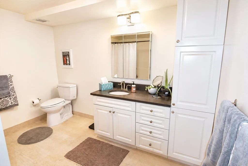 2 bed, 2 bath apartment for rent at 77 Marion St Unit 306, Coolidge Corner — photo 3 of 6