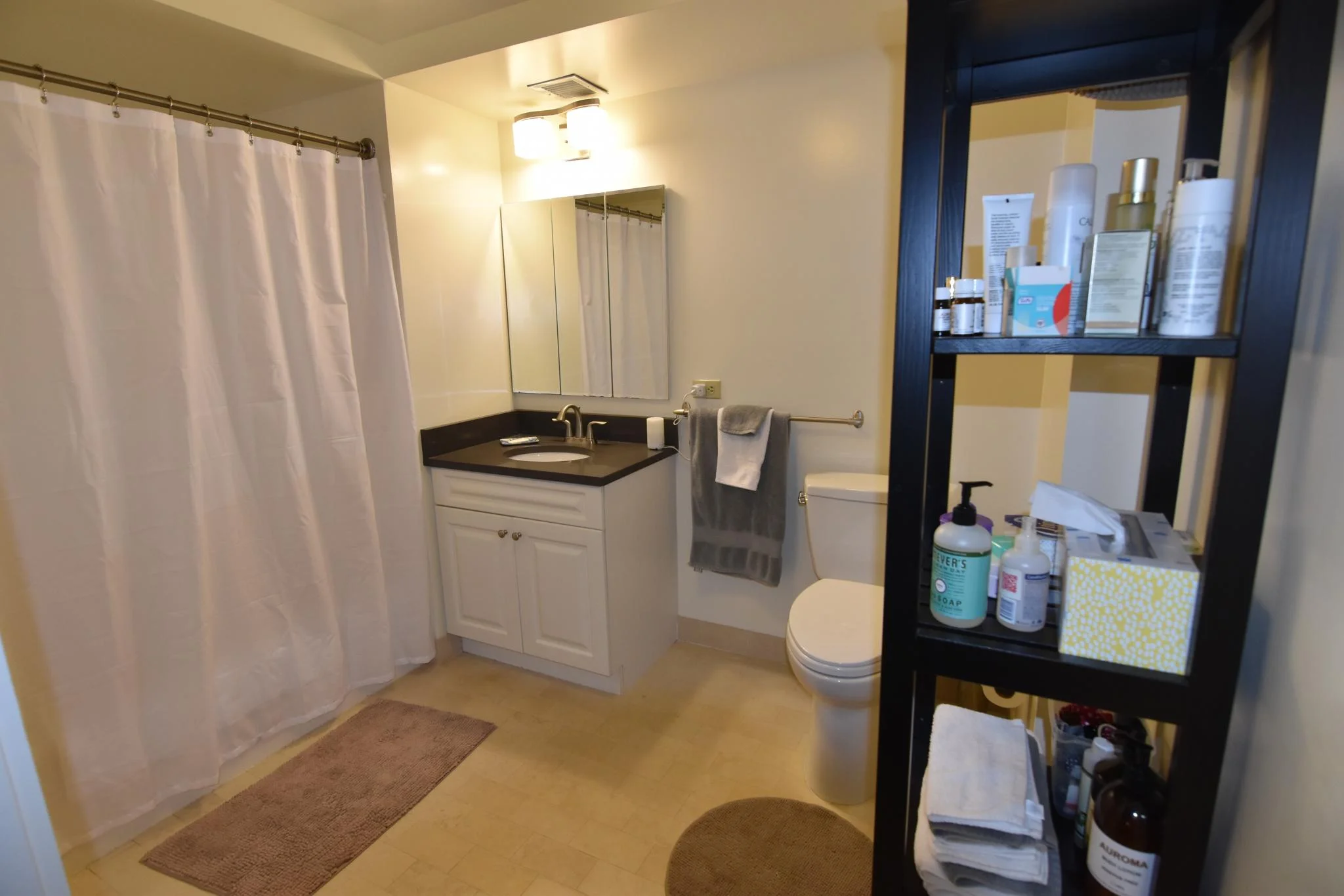 2 bed, 2 bath apartment for rent at 77 Marion St Unit 306, Coolidge Corner — photo 13 of 16