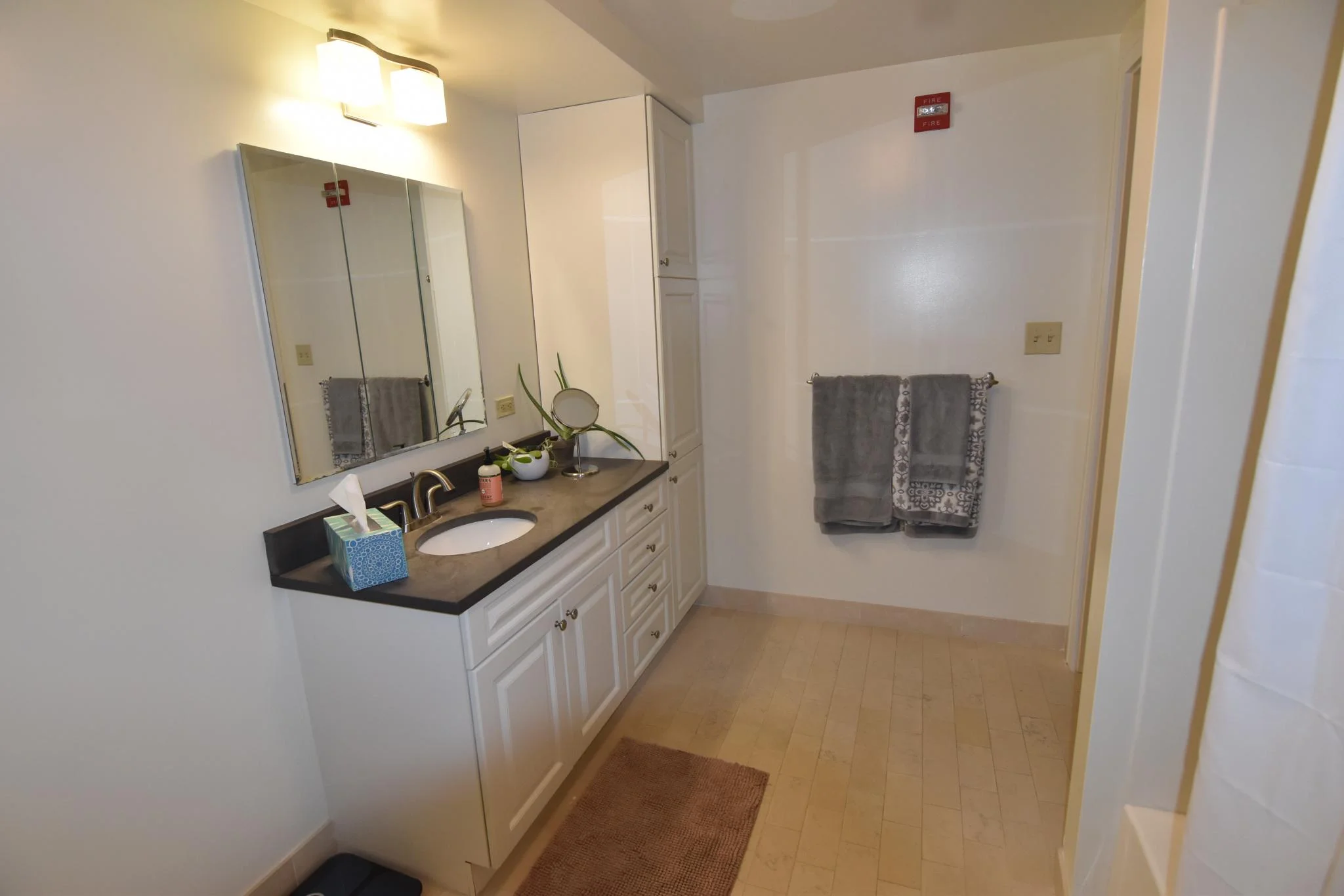 2 bed, 2 bath apartment for rent at 77 Marion St Unit 306, Coolidge Corner — photo 3 of 16