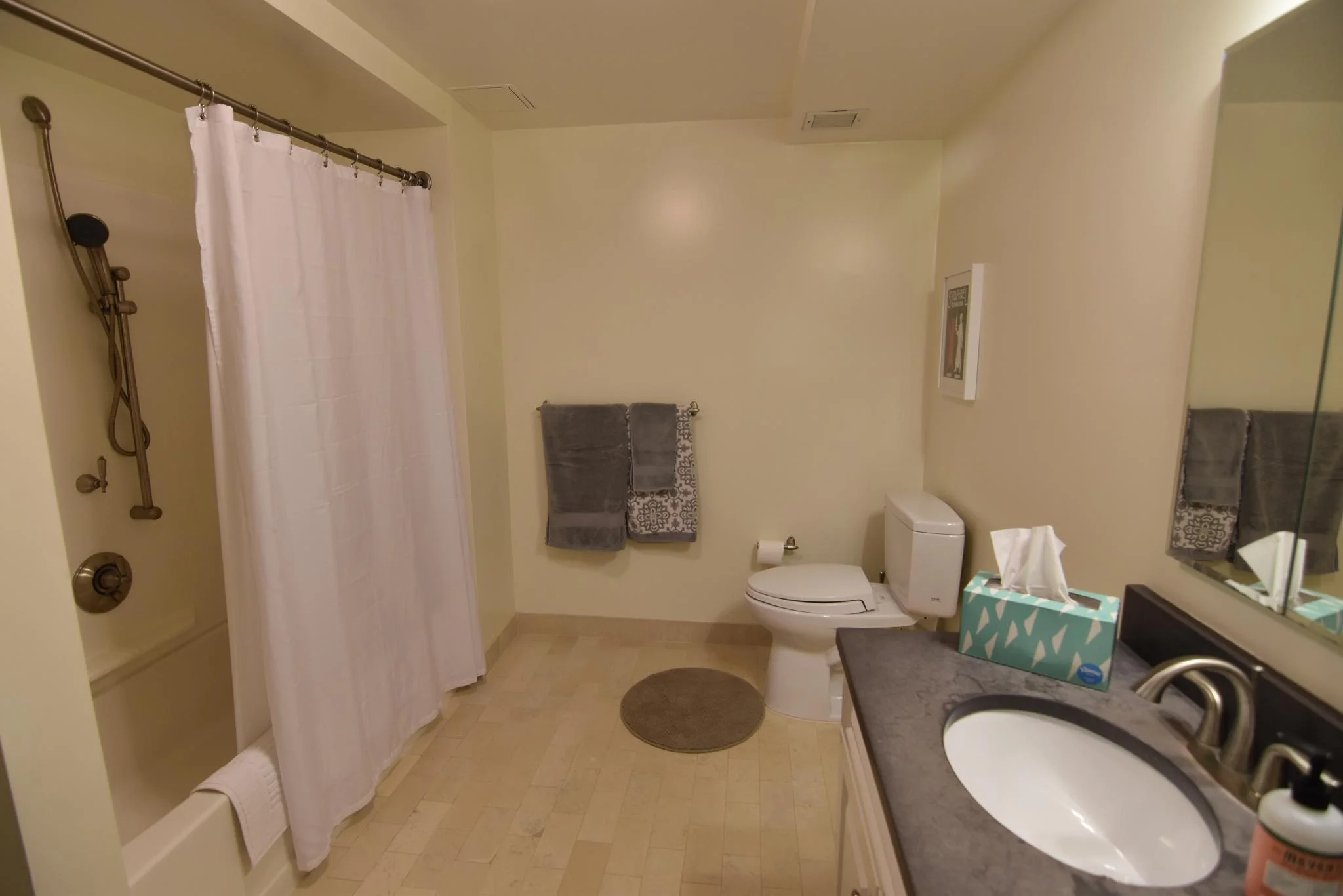 2 bed, 2 bath apartment for rent at 77 Marion St Unit 306, Coolidge Corner — photo 4 of 16
