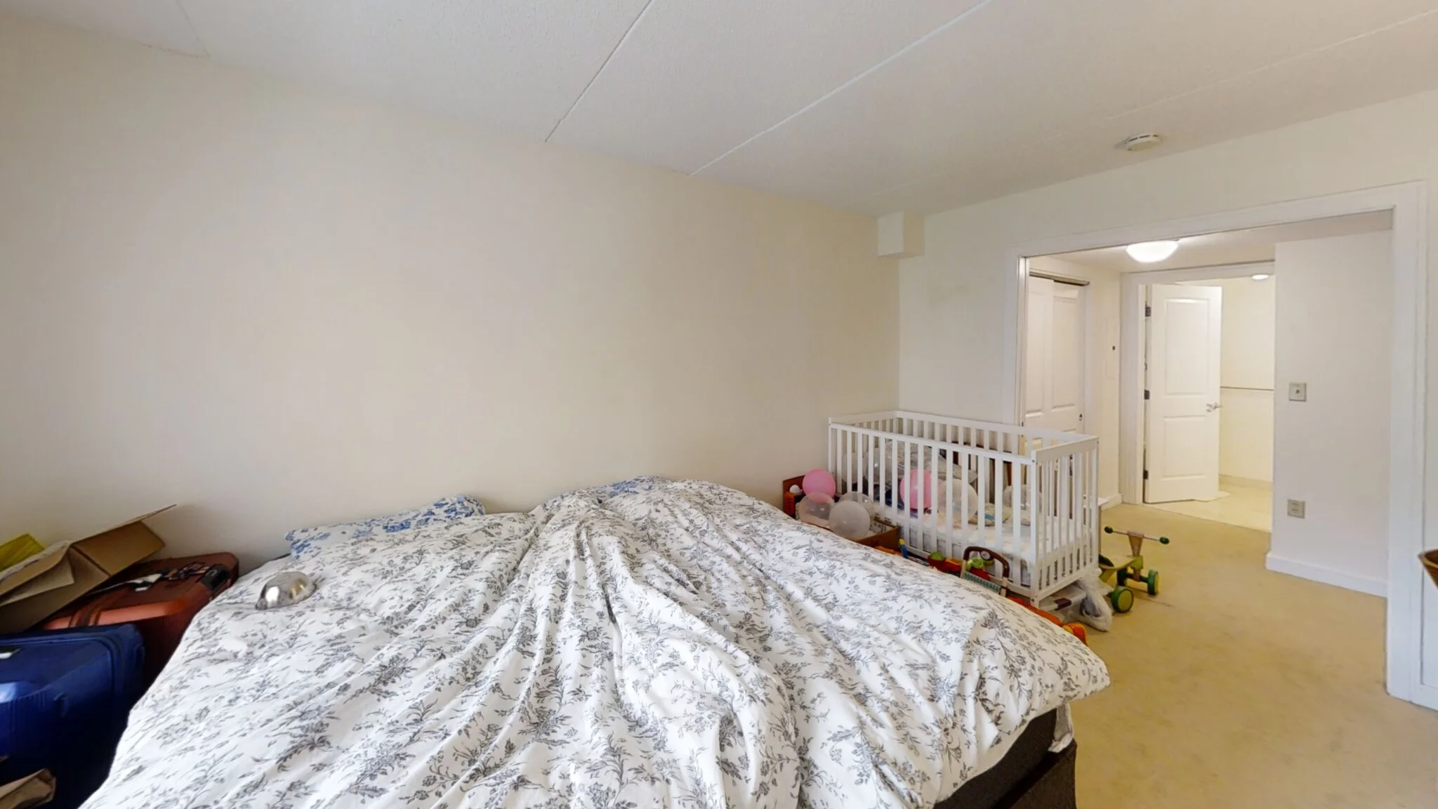 1 bed, 1 bath apartment for rent at 77 Marion St Unit 309, Coolidge Corner — photo 6 of 15