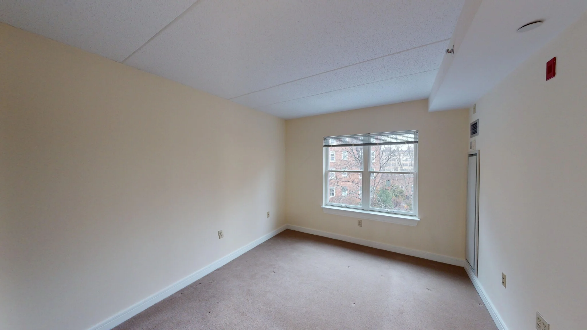 2 bed, 1.5 bath apartment for rent at 77 Marion St Unit 310, Coolidge Corner — photo 7 of 16