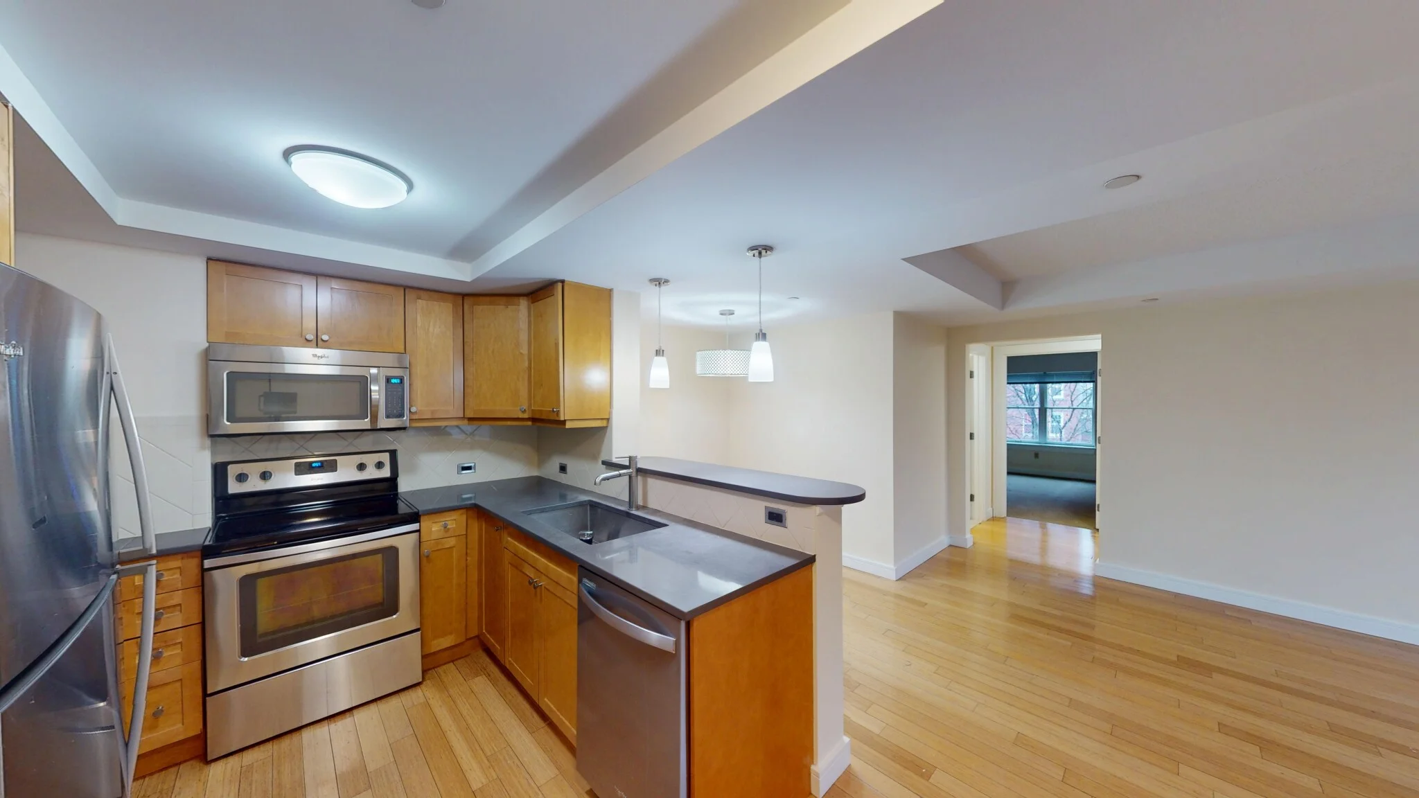 2 bed, 1.5 bath apartment for rent at 77 Marion St Unit 310, Coolidge Corner — photo 4 of 16