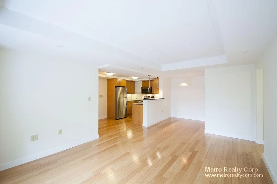 2 bed, 1.5 bath apartment for rent at 77 Marion St Unit 310, Coolidge Corner — photo 13 of 16