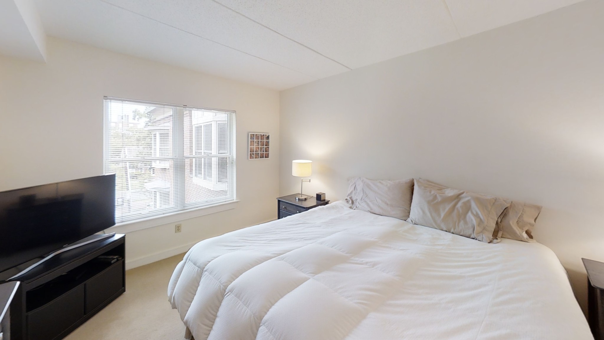 1 bed, 1 bath apartment for rent at 77 Marion St Unit 313, Coolidge Corner — photo 7 of 13