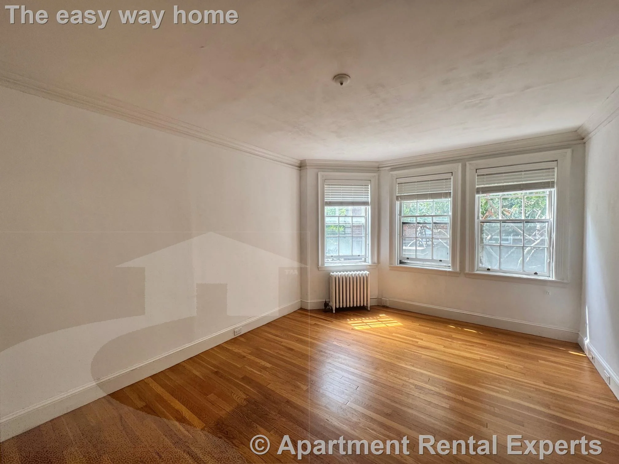 1 bed, 1 bath apartment for rent at 77 Martin St Unit 5, Harvard Square — photo 3 of 12