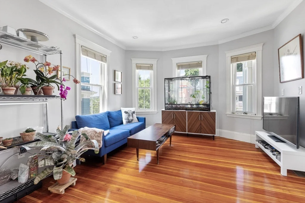 2 bed, 2 bath apartment for rent at 77 Montebello Rd Unit 2, Jamaica Plain — photo 8 of 19