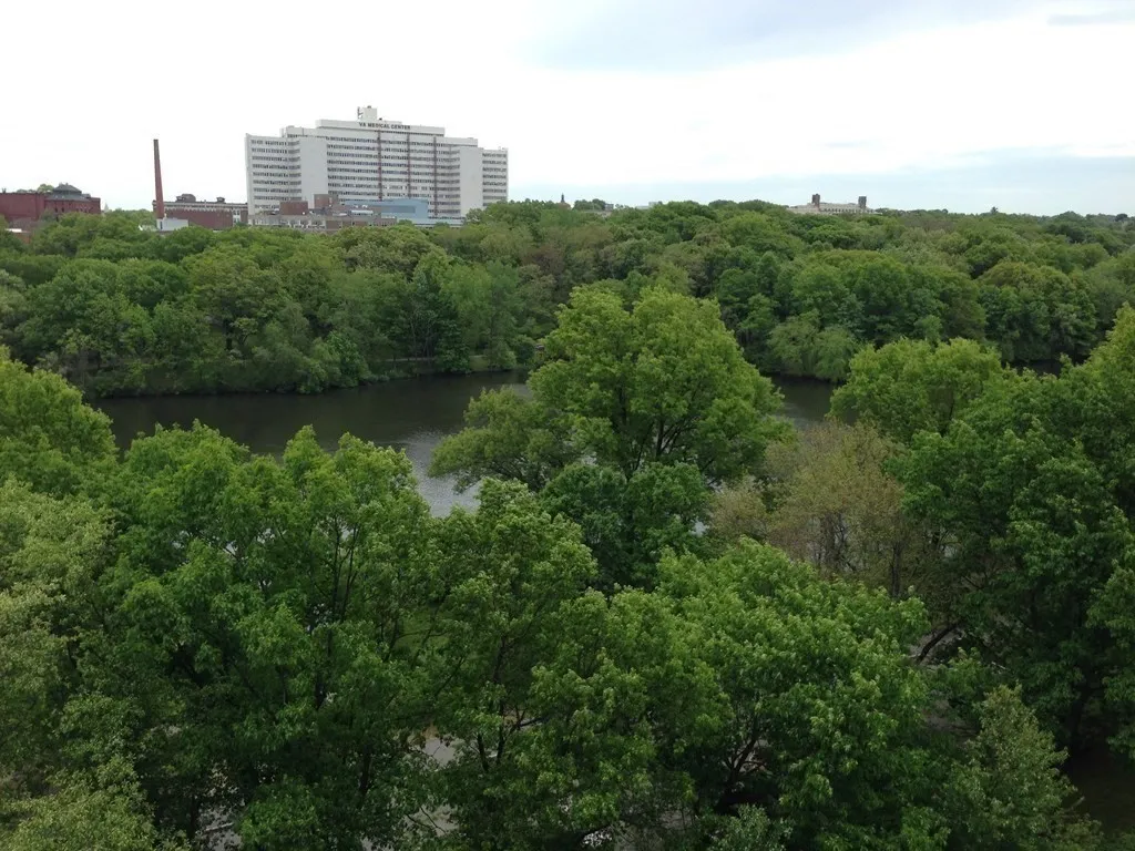 3 bed, 2 bath apartment for rent at 77 Pond Ave Unit 1001, Coolidge Corner — photo 18 of 23