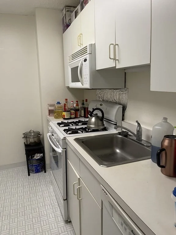 1 bed, 1 bath apartment for rent at 77 Pond Ave Unit 1007, Brookline — photo 4 of 14