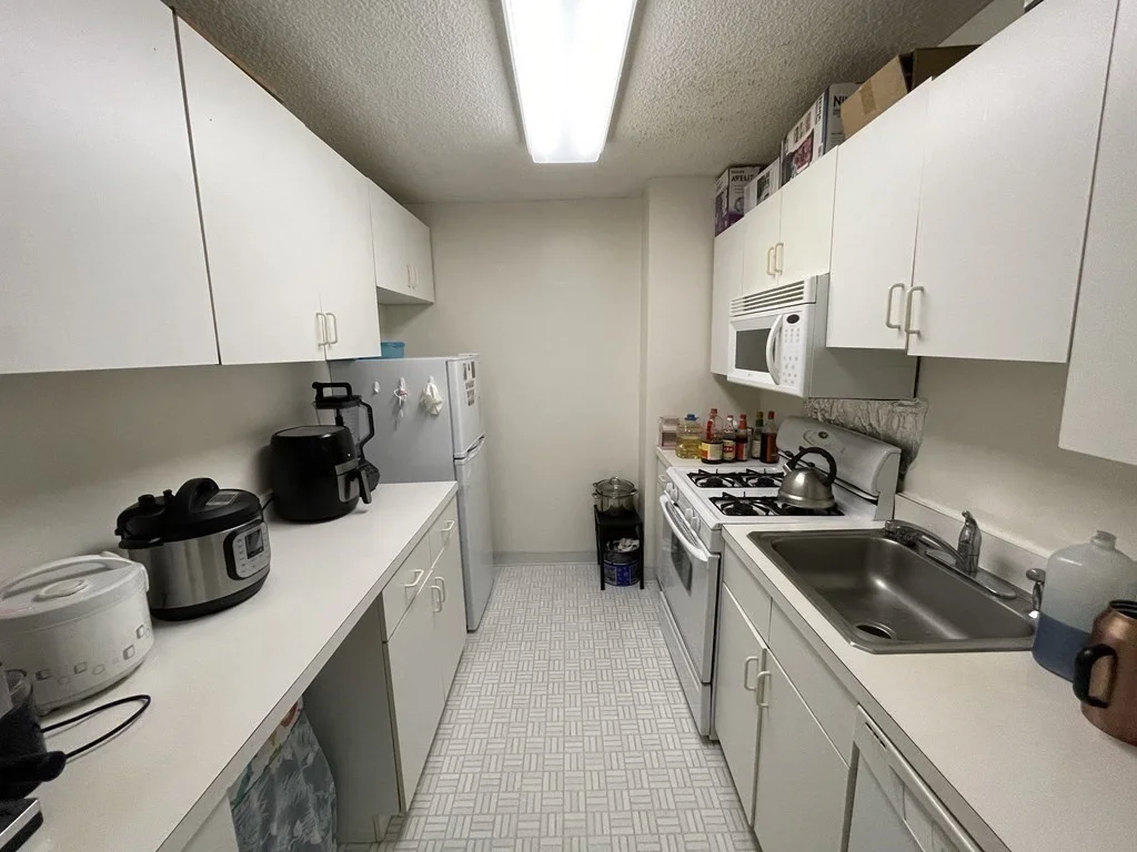 1 bed, 1 bath apartment for rent at 77 Pond Ave Unit 1007, Brookline — photo 3 of 14