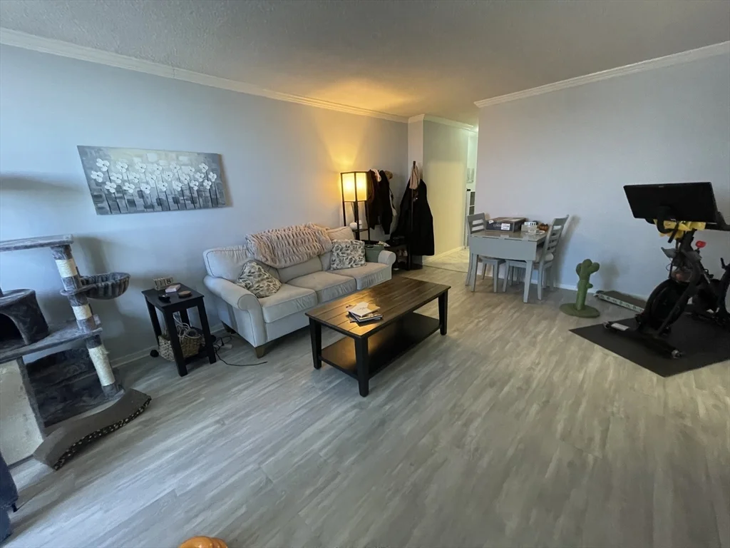 1 bed, 1 bath apartment for rent at 77 Pond Ave Unit 1208, Brookline — photo 7 of 28