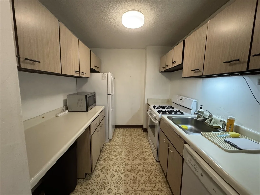 1 bed, 1 bath apartment for rent at 77 Pond Ave Unit 307, Brookline Village — photo 5 of 12