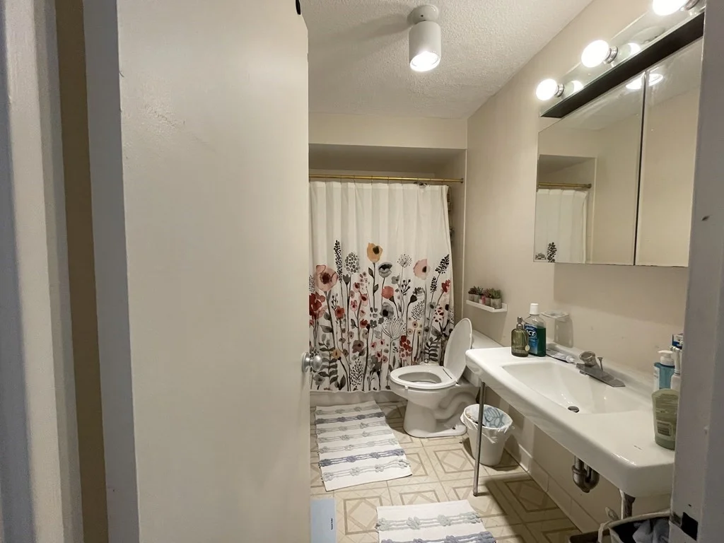 1 bed, 1 bath apartment for rent at 77 Pond Ave Unit 310, Brookline Village — photo 8 of 17
