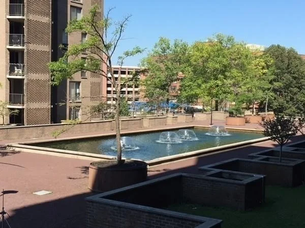 1 bed, 1 bath apartment for rent at 77 Pond Ave Unit 310, Brookline Village — photo 15 of 17