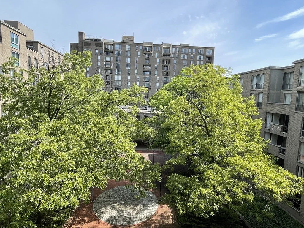 1 bed, 1 bath apartment for rent at 77 Pond Ave Unit 310, Brookline Village — photo 14 of 17