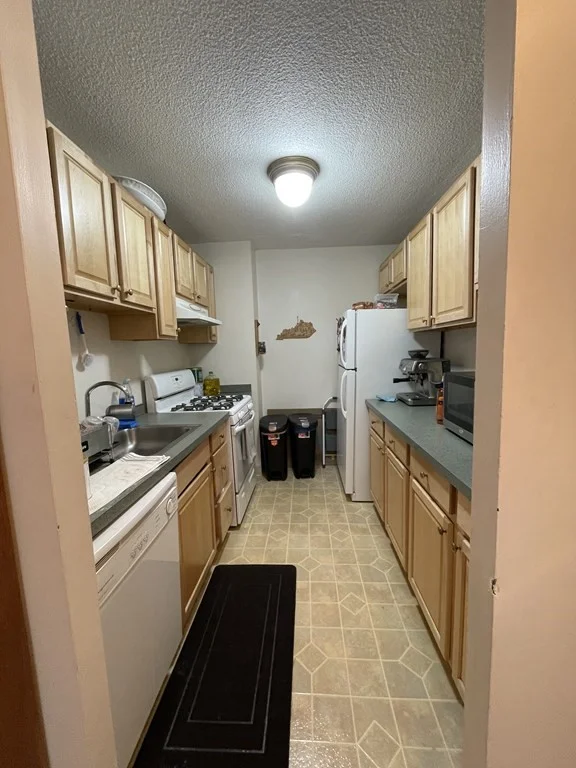 1 bed, 1 bath apartment for rent at 77 Pond Ave Unit 310, Brookline Village — photo 10 of 17