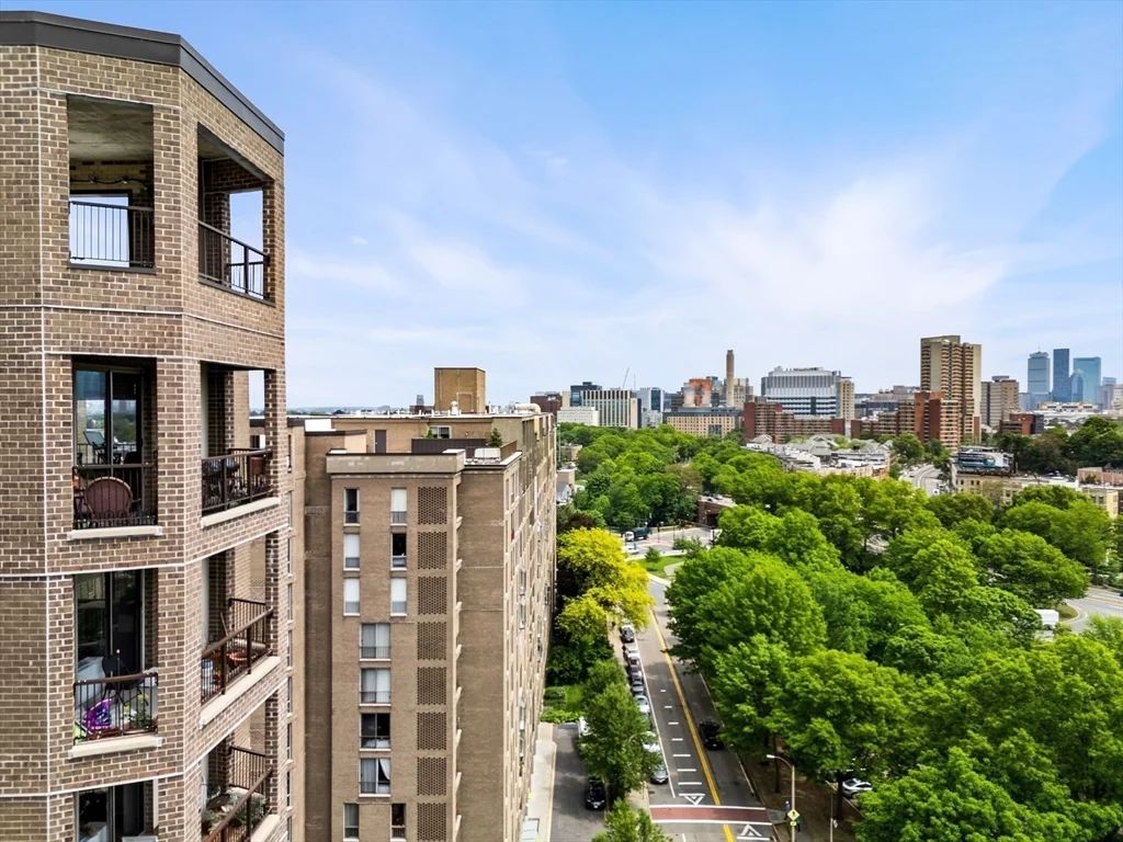 1 bed, 1 bath apartment for rent at 77 Pond Ave Unit 507, Brookline — photo 13 of 15